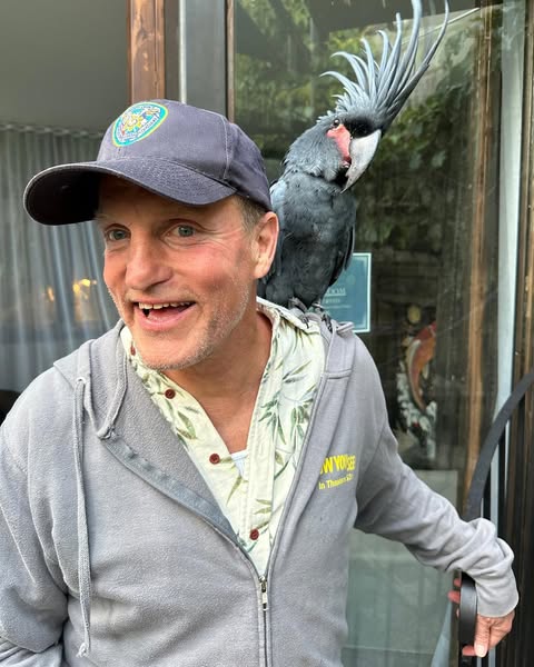 Woody Harrelson